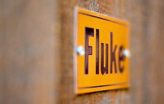 Fluke